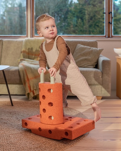 EVOLUTIVE CURIOSITY KIT MODU